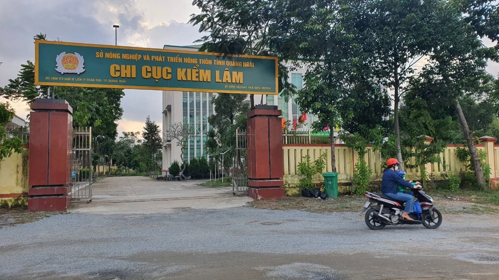 Thu hồi gần 1 tỷ đồng sai phạm tại Chi cục Kiểm lâm tỉnh Quảng Ngãi ảnh 2 Thu hồi gần 1 tỷ đồng sai phạm tại Chi cục Kiểm lâm tỉnh Quảng Ngãi ảnh 2
