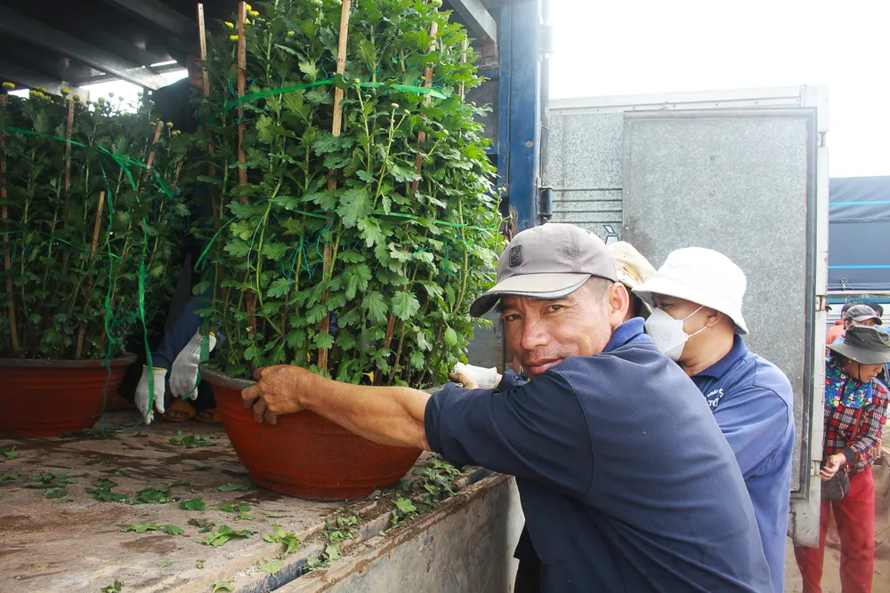 Tại cảng Sa Kỳ có 2 đội bốc vác hàng hóa cảng với số lượng hàng chục người không nhơi tay trong những ngày này. Ảnh: NGUYỄN TRANG