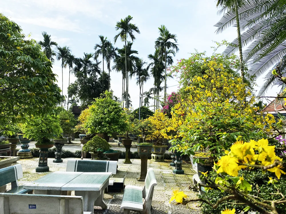 Mỗi cây hoa mai ở các vùng miền có thời điểm trảy lá và cách chăm sóc hoa mai sau tết cũng khác nhau, đều dựa vào thời tiết và chu trình phát triển cây mai để tạo tác Mỗi cây hoa mai ở các vùng miền có thời điểm trảy lá và cách chăm sóc hoa mai sau tết cũng khác nhau, đều dựa vào thời tiết và chu trình phát triển cây mai để tạo tác