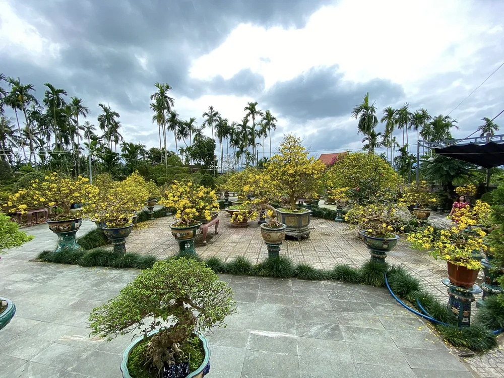 Nhà vườn của ông Bình là nhà vườn tiêu biểu của tỉnh Quảng Ngãi. Ảnh: NVCC Nhà vườn của ông Bình là nhà vườn tiêu biểu của tỉnh Quảng Ngãi. Ảnh: NVCC