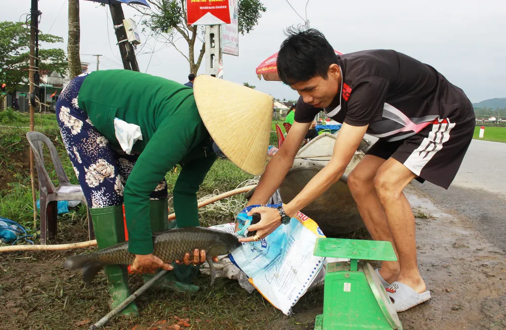 Bắt cá trắm cỏ bán cho người qua đường. Ảnh: NGUYỄN TRANG Bắt cá trắm cỏ bán cho người qua đường. Ảnh: NGUYỄN TRANG