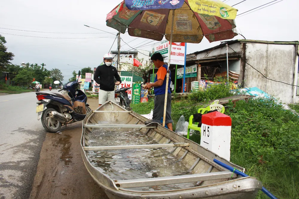 Những chiếc ghe chứa đầy cá trắm cỏ, cá lăng... được ngay tại đường lộ. Ảnh: NGUYỄN TRANG Những chiếc ghe chứa đầy cá trắm cỏ, cá lăng... được ngay tại đường lộ. Ảnh: NGUYỄN TRANG