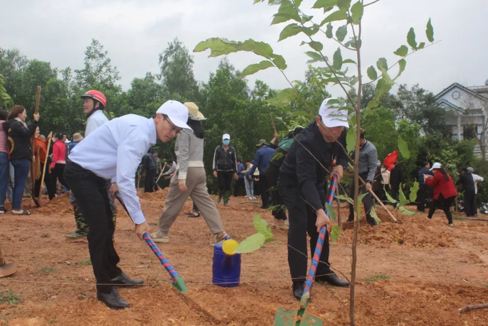 Huyện Bình Sơn trồng cây xanh tại khuôn viên Nghĩa trang liệt sĩ xã Bình Hòa Huyện Bình Sơn trồng cây xanh tại khuôn viên Nghĩa trang liệt sĩ xã Bình Hòa