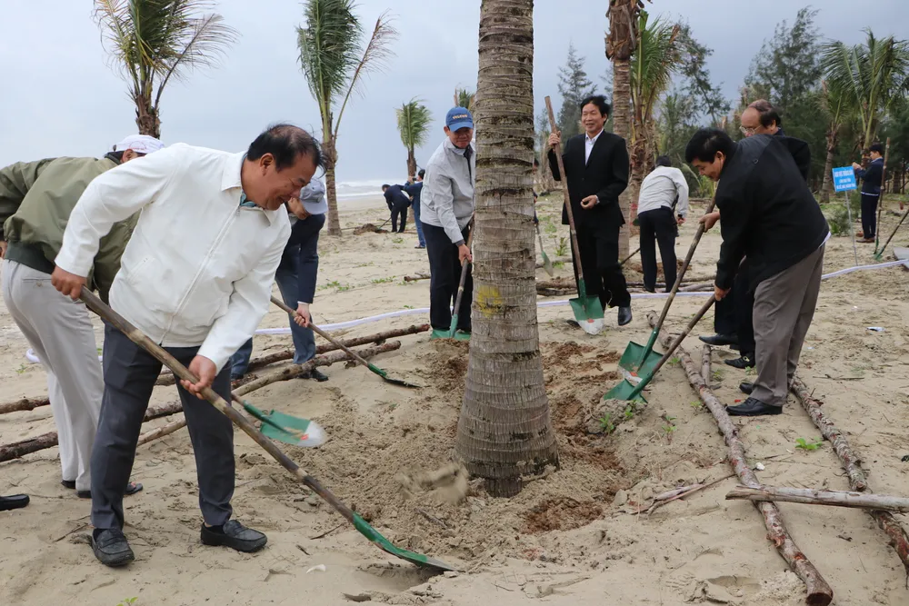 Hàng trăm cây dừa được trồng trong ngày 28-1 Hàng trăm cây dừa được trồng trong ngày 28-1