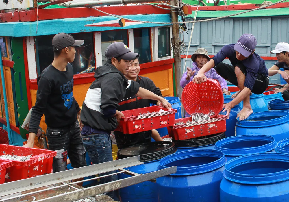 Trên bến, dưới thuyền tấp nập, khởi đầu một năm nghề cá bội thu. Ảnh: NGUYỄN TRANG Trên bến, dưới thuyền tấp nập, khởi đầu một năm nghề cá bội thu. Ảnh: NGUYỄN TRANG