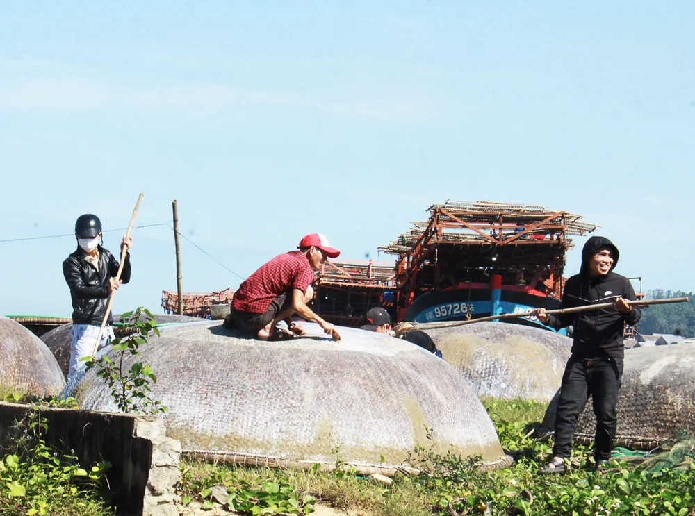 Người trẻ gắn bó với nghề biển ngày càng ít, họ chuyển qua làm công ty, xí nghiệp. Ảnh: NGUYỄN TRANG