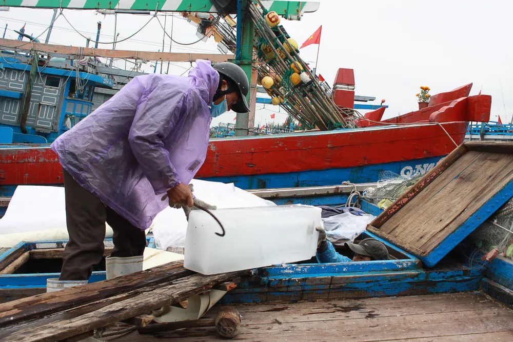 Tàu cá tại xã Bình Châu (huyện Bình Sơn, tỉnh Quảng Ngãi). Ảnh: NGUYỄN TRANG