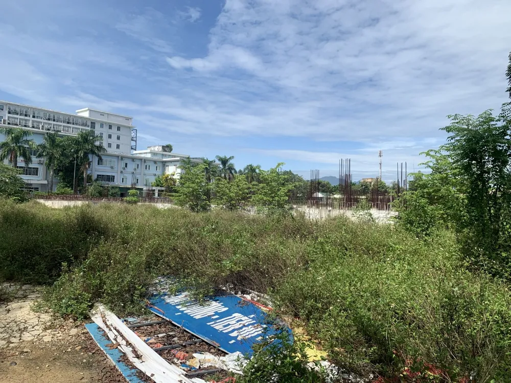 Xung quanh cỏ dại mọc đầy ngay gần bệnh viện. Xung quanh cỏ dại mọc đầy ngay gần bệnh viện.