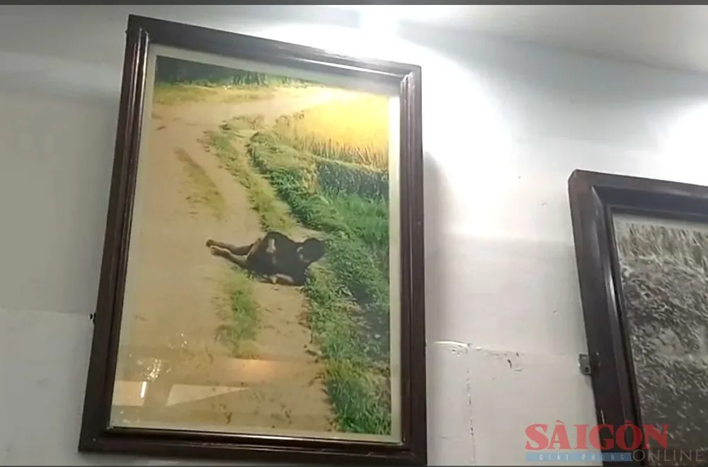 Sau lễ ký kết, bức ảnh này được chú thích lại là "Đứa bé trai cố che đạn cho em gái" theo chú thích tác giả ảnh do Ronald L. Haeberle chụp (1968 Ronald L. Haeberle). Sau lễ ký kết, bức ảnh này được chú thích lại là "Đứa bé trai cố che đạn cho em gái" theo chú thích tác giả ảnh do Ronald L. Haeberle chụp (1968 Ronald L. Haeberle).