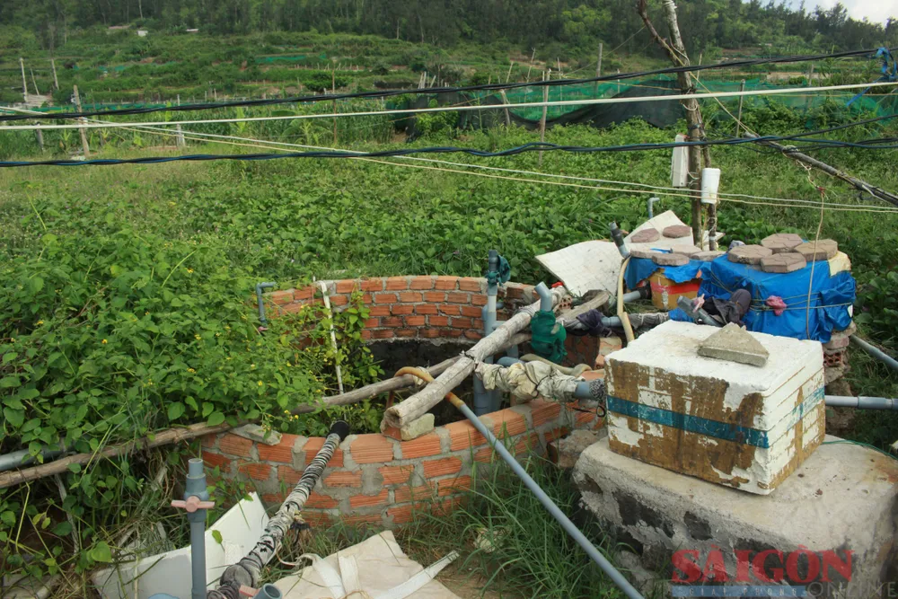 Giếng nước trên địa bàn huyện Lý Sơn được sử dụng đến nay đã cạn, nhiễm mặn vào mùa nắng. Ảnh: NGUYỄN TRANG