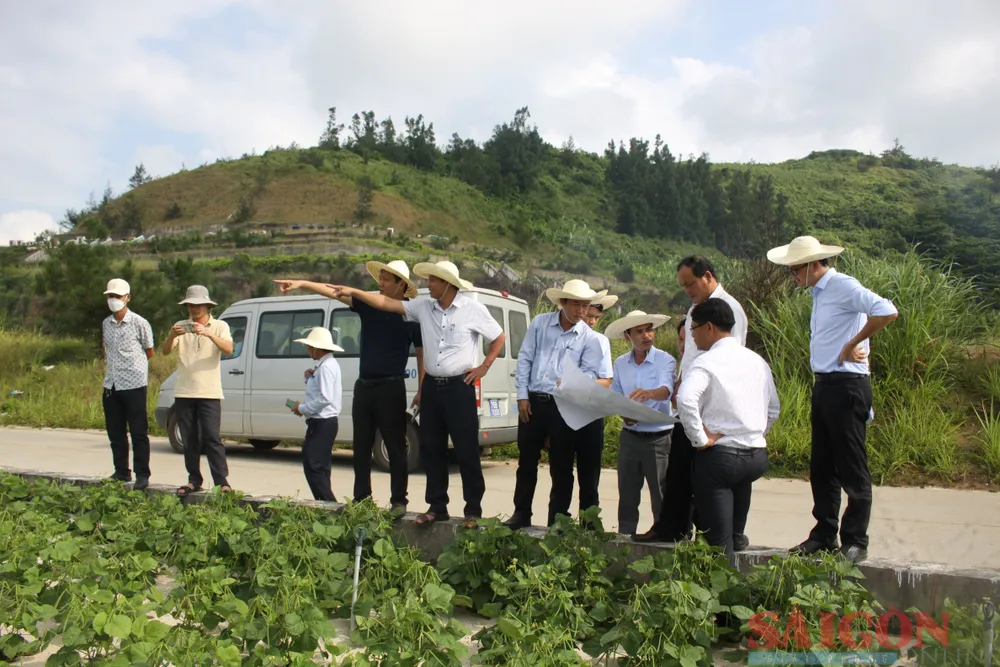 Các đơn vị khảo sát thực tế tại một số địa điểm trên đảo Lý Sơn. Ảnh: NGUYỄN TRANG