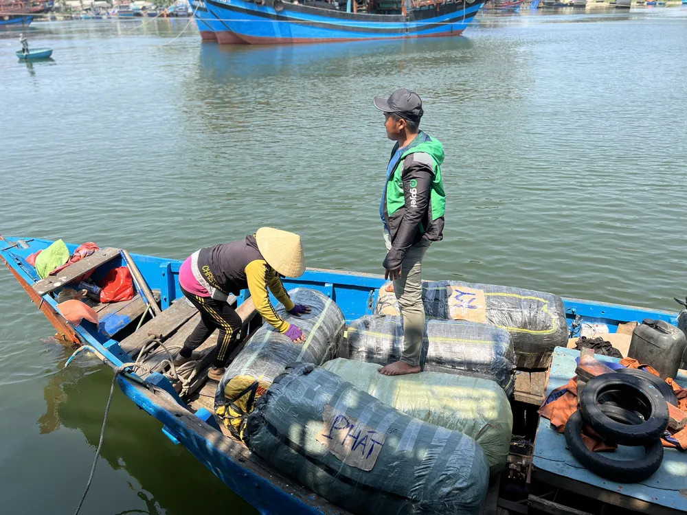 Mực từ tàu lớn được đưa lên ghe vận chuyển vào bờ Mực từ tàu lớn được đưa lên ghe vận chuyển vào bờ