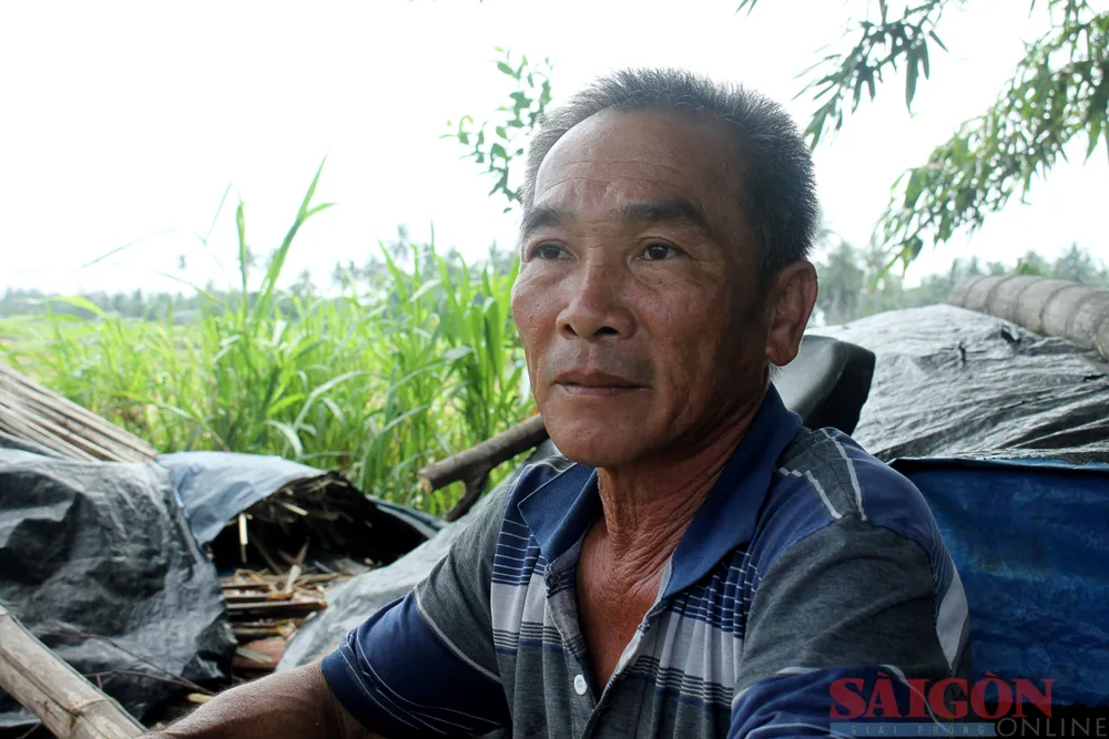 Ông Phạm Văn Hiền kể về lịch sử rừng dừa nước Tịnh Khê. Ảnh: NGUYỄN TRANG Ông Phạm Văn Hiền kể về lịch sử rừng dừa nước Tịnh Khê. Ảnh: NGUYỄN TRANG