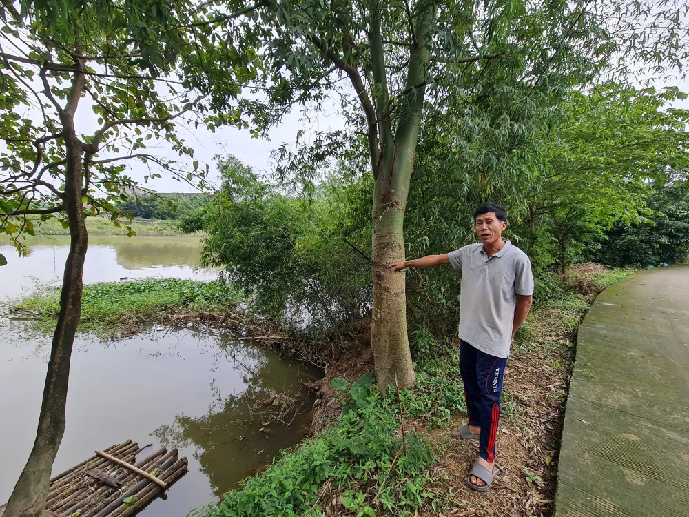 Sạt lở bờ sông Cây Bứa, xã Nghĩa Phương, huyện Tư Nghĩa, tỉnh Quảng Ngãi. Ảnh: NGUYỄN TRANG Sạt lở bờ sông Cây Bứa, xã Nghĩa Phương, huyện Tư Nghĩa, tỉnh Quảng Ngãi. Ảnh: NGUYỄN TRANG