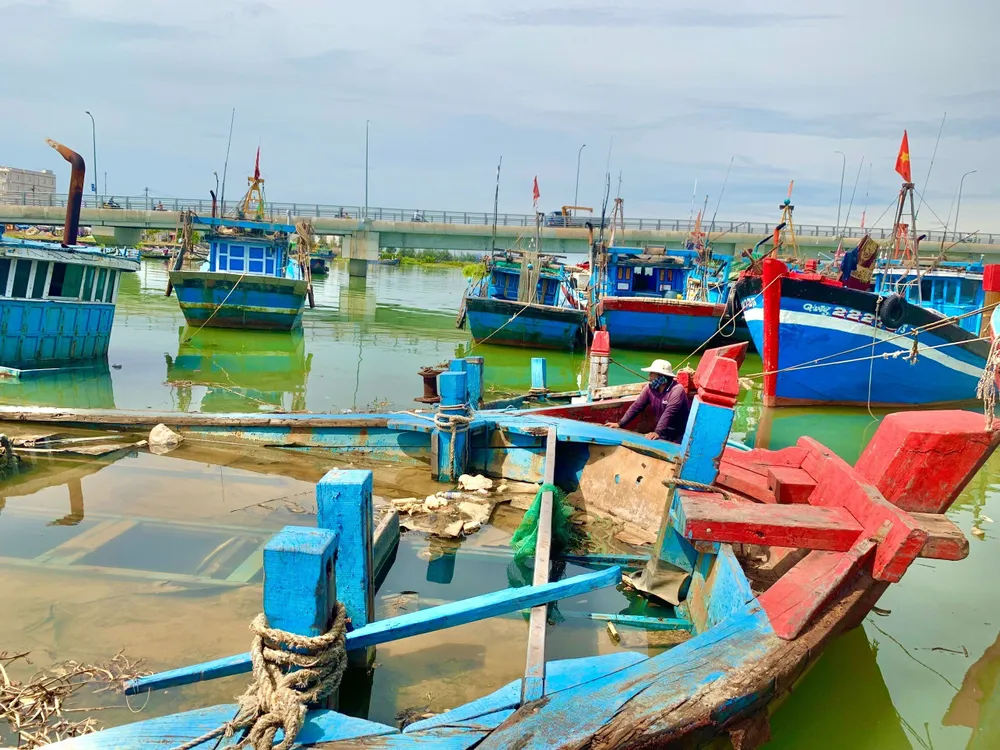 Chủ tàu rất xót xa khi nhìn tàu cá bị chìm nhưng lại không đủ kinh phí để sửa chữa tàu do khai thác thua lỗ, nợ ngân hàng Chủ tàu rất xót xa khi nhìn tàu cá bị chìm nhưng lại không đủ kinh phí để sửa chữa tàu do khai thác thua lỗ, nợ ngân hàng