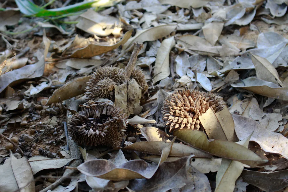 Ảnh: NGUYỄN TRANG