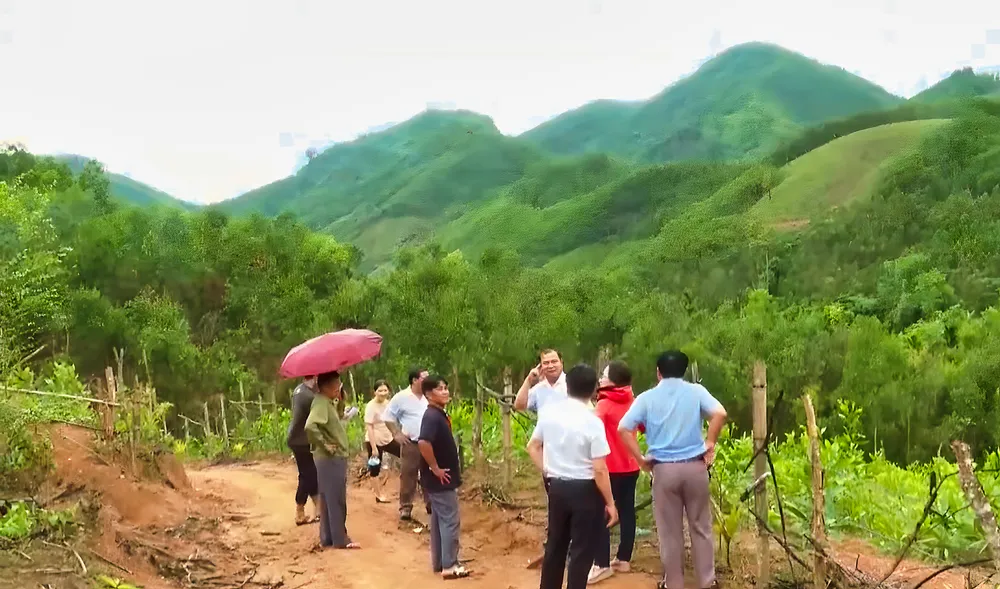 Chính quyền địa phương khảo sát thực địa tình trạng núi Cà Mon Chính quyền địa phương khảo sát thực địa tình trạng núi Cà Mon