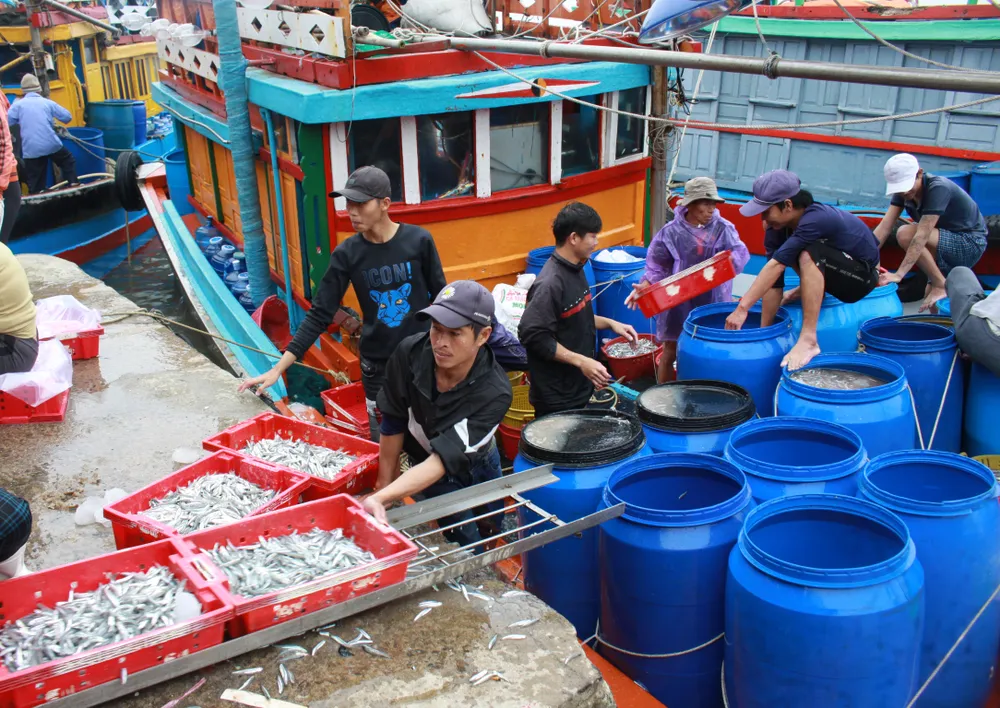 Ngư dân vươn khơi bám biển góp phần bảo vệ vững chắc chủ quyền biển, đảo quốc gia. Ảnh: NGUYỄN TRANG Ngư dân vươn khơi bám biển góp phần bảo vệ vững chắc chủ quyền biển, đảo quốc gia. Ảnh: NGUYỄN TRANG