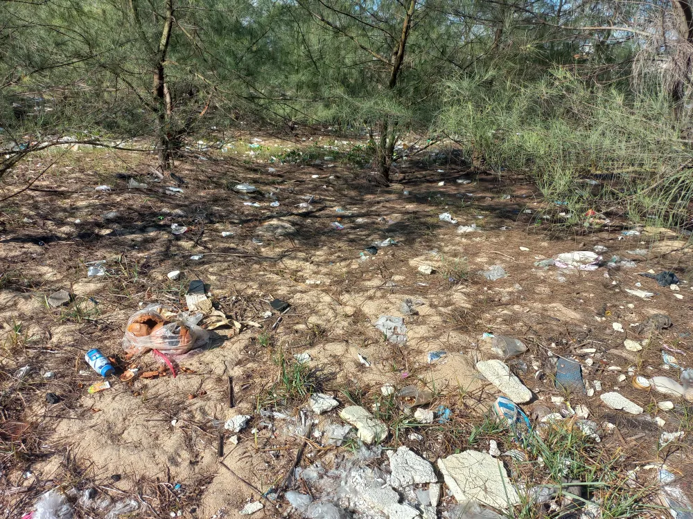 Các loại rác thải như bao ni lông, mút xốp, chai nhựa,... rải rác trong rừng dương của xã Nghĩa An, TP Quảng Ngãi. Ảnh: NGUYỄN TRANG