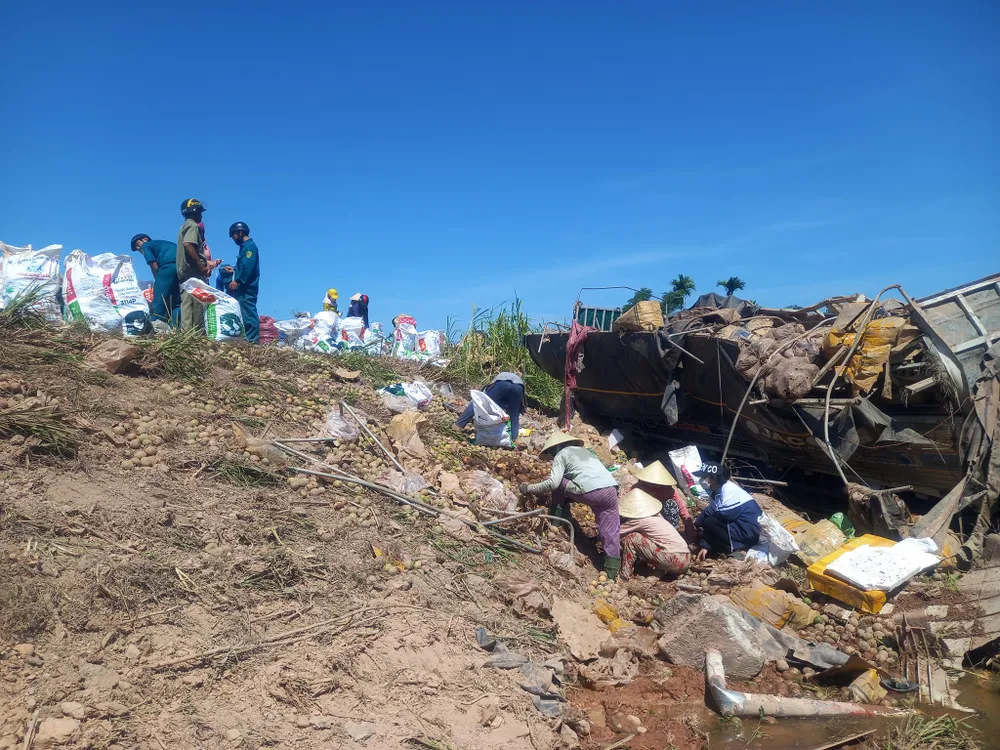 Xe tải bị lật khiến hàng tấn trái cây đổ xuống ruộng. Ảnh: Đoàn phường Phổ Minh Xe tải bị lật khiến hàng tấn trái cây đổ xuống ruộng. Ảnh: Đoàn phường Phổ Minh