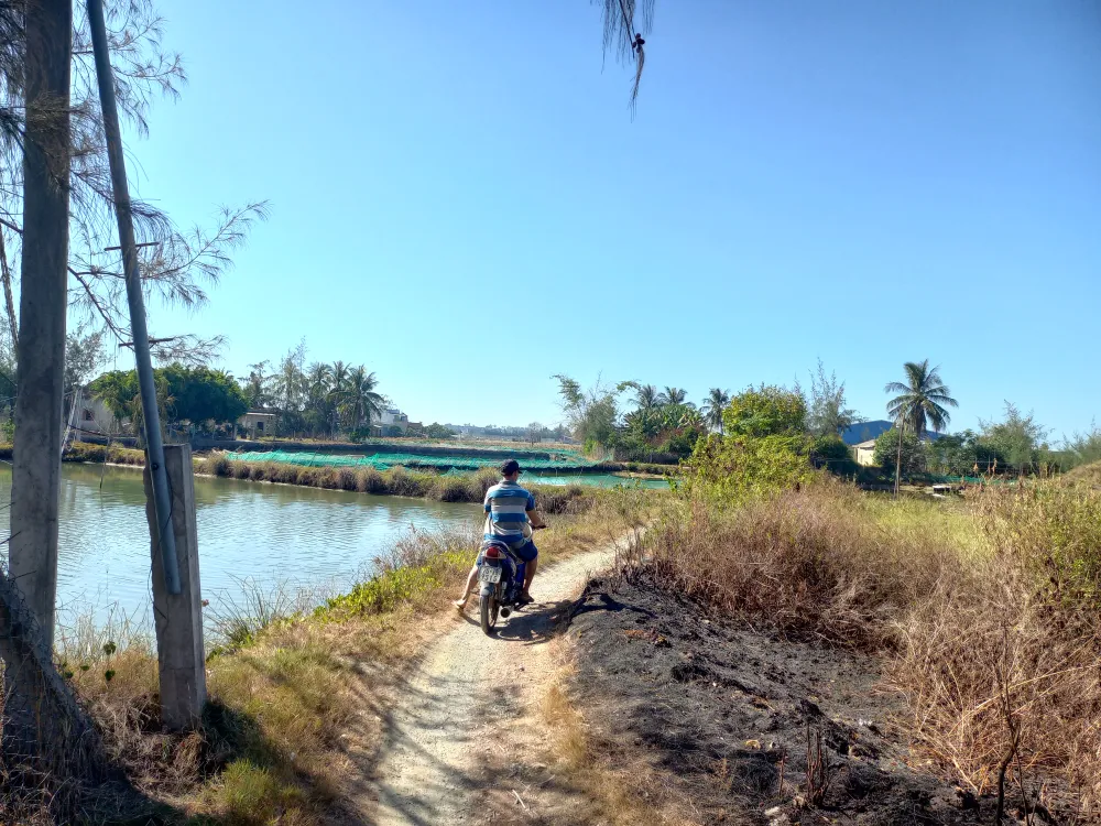 Người dân muốn ra vào xóm phải đi trên bờ hồ nuôi tôm nhỏ hẹp. Ảnh: NGUYỄN TRANG Người dân muốn ra vào xóm phải đi trên bờ hồ nuôi tôm nhỏ hẹp. Ảnh: NGUYỄN TRANG