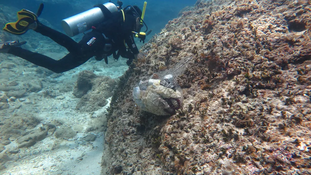 Thợ lặn vớt rác dưới các rạn san hô đáy biển Khu Bảo tồn biển Lý Sơn. Ảnh: Khu Bảo tồn biển Lý Sơn
