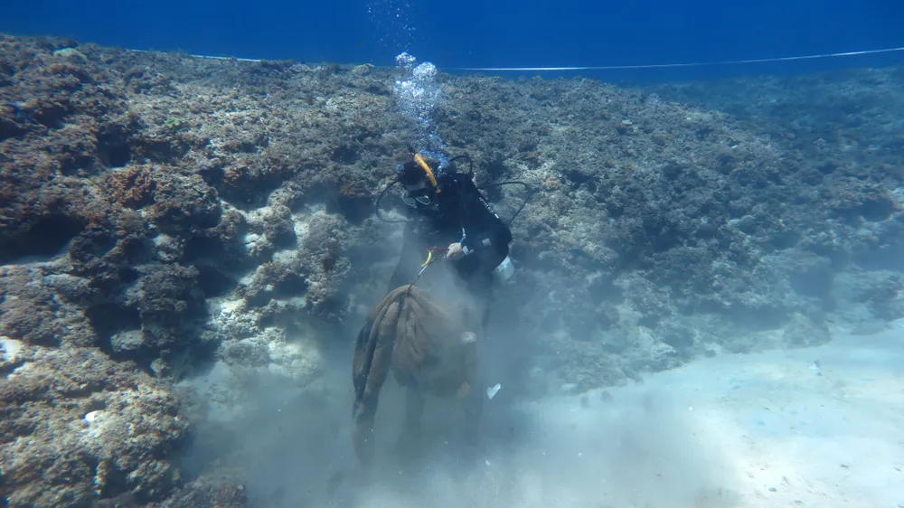 Các thợ lặn vớt những tấm mền do người dân vứt xuống biển