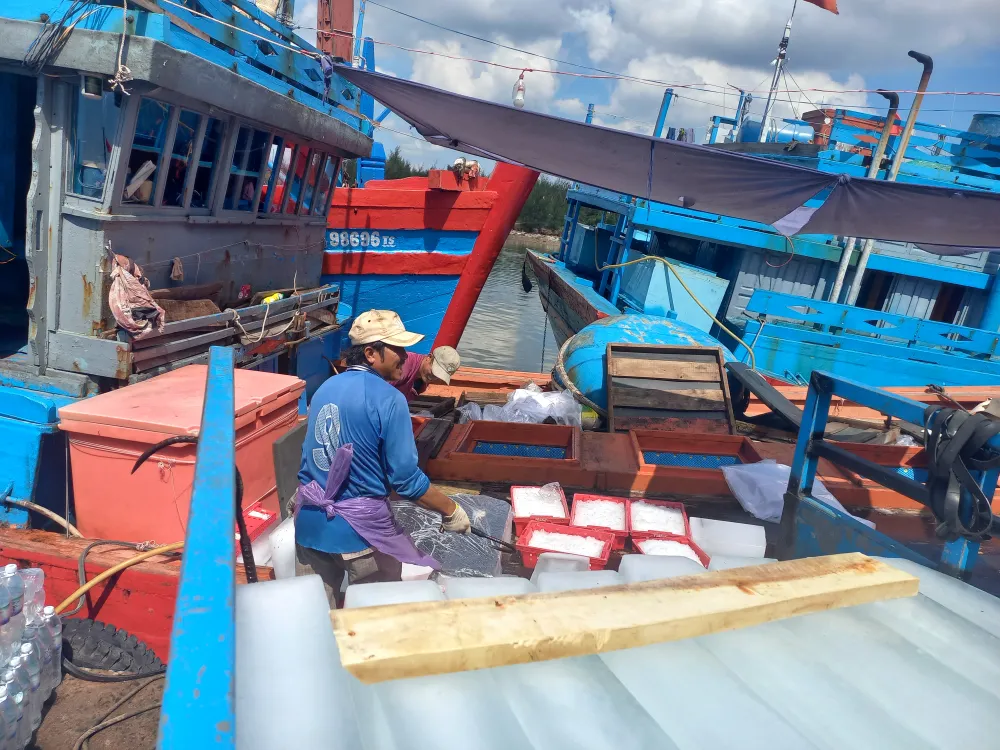 Tiếp đá lạnh cho tàu QNg-96020TS chuẩn bị ra khơi. Ảnh: NGUYỄN TRANG Tiếp đá lạnh cho tàu QNg-96020TS chuẩn bị ra khơi. Ảnh: NGUYỄN TRANG