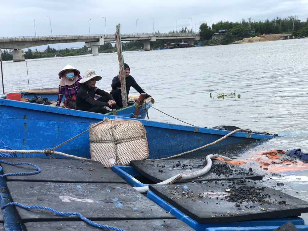Chiếc tàu này ông Hổ mới mua từ một chủ tàu ở xã Nghĩa An, TP Quảng Ngãi vào ngày 13-10, không may xảy ra cháy rạng sáng 14-10.