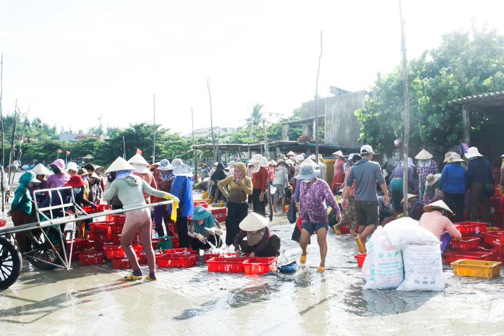 Chợ cá độc đáo ngay tại bãi cát. Ảnh: NGUYỄN TRANG Chợ cá độc đáo ngay tại bãi cát. Ảnh: NGUYỄN TRANG