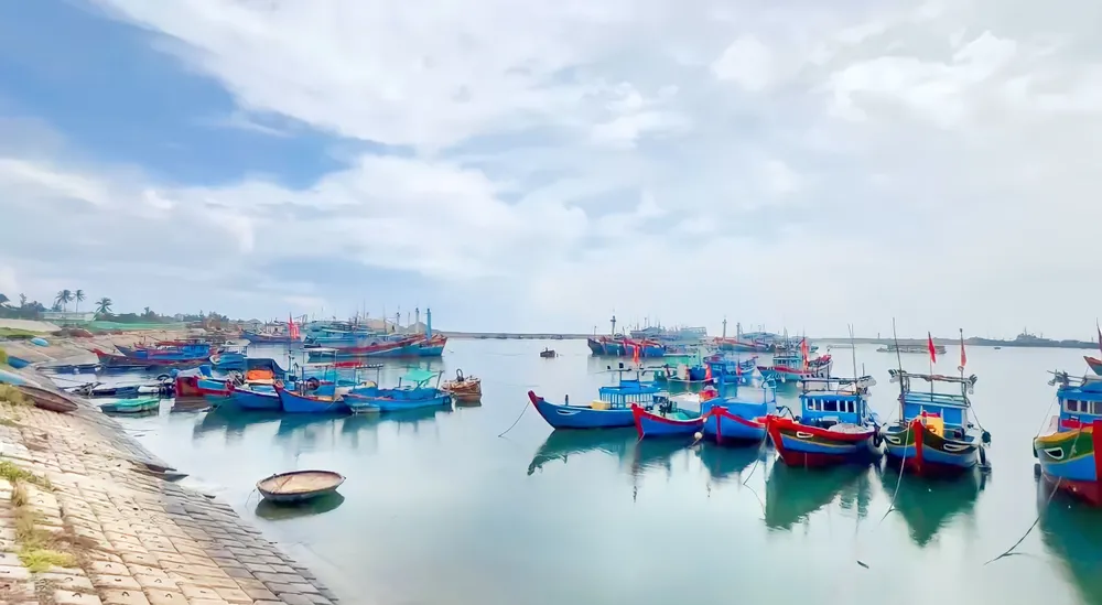 Tàu thuyền neo đậu tại vũng neo đậu tàu thuyền Lý Sơn Tàu thuyền neo đậu tại vũng neo đậu tàu thuyền Lý Sơn