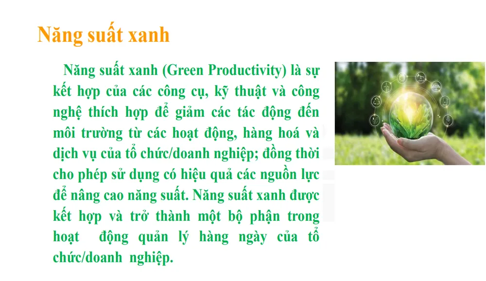 Áp dụng năng suất xanh đem lại nhiều lợi ích doanh nghiệp trong sản xuất. Ảnh: Tư liệu hội thảo