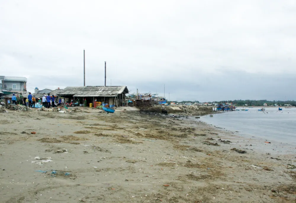 Bãi biển sạch, đẹp sau khi hoàn thành công tác thu gom. Ảnh: NGUYỄN TRANG Bãi biển sạch, đẹp sau khi hoàn thành công tác thu gom. Ảnh: NGUYỄN TRANG