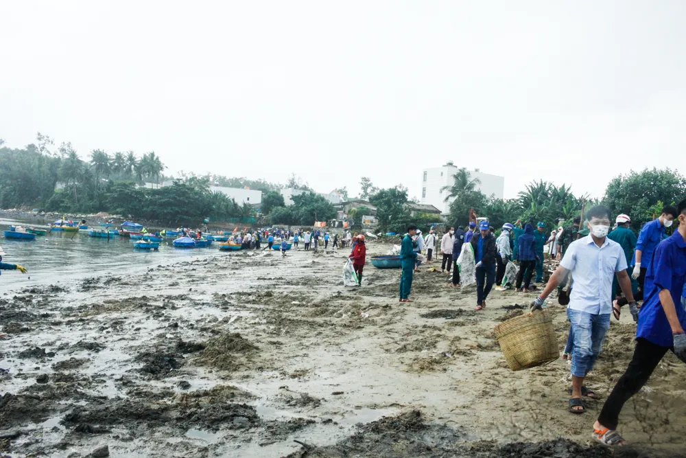Hàng trăm người tham gia thu gom rác, làm sạch bãi biển sau mưa lũ. Ảnh: NGUYỄN TRANG Hàng trăm người tham gia thu gom rác, làm sạch bãi biển sau mưa lũ. Ảnh: NGUYỄN TRANG