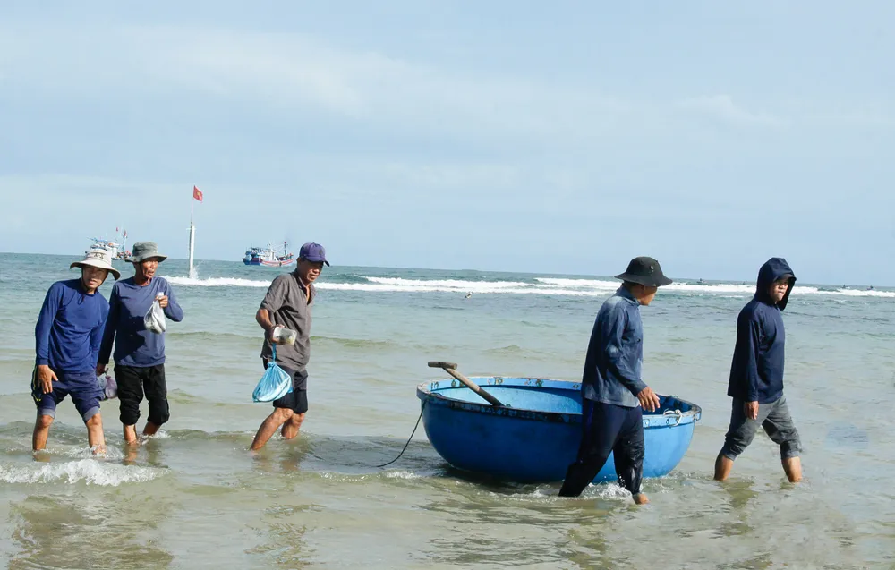 Ngư dân các vùng bãi ngang ven biển xã Bình Châu (huyện Bình Sơn, tỉnh Quảng Ngãi) khai thác cá vào tháng 10. Ảnh: NGUYỄN TRANG