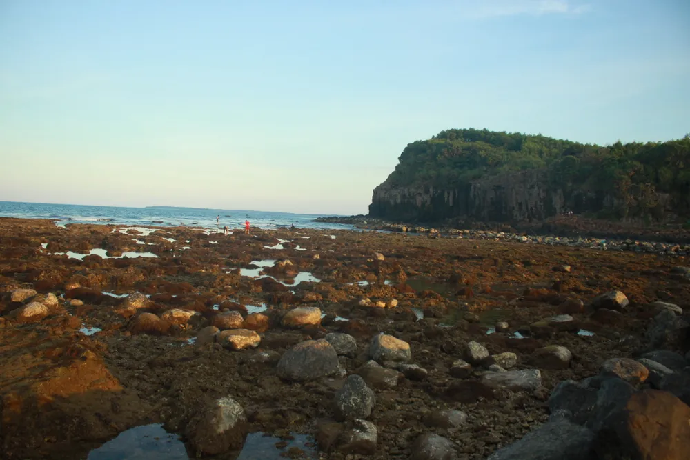 Gành Yến là khu vực có độ đa dạng sinh học cao. Ảnh: NGUYỄN TRANG