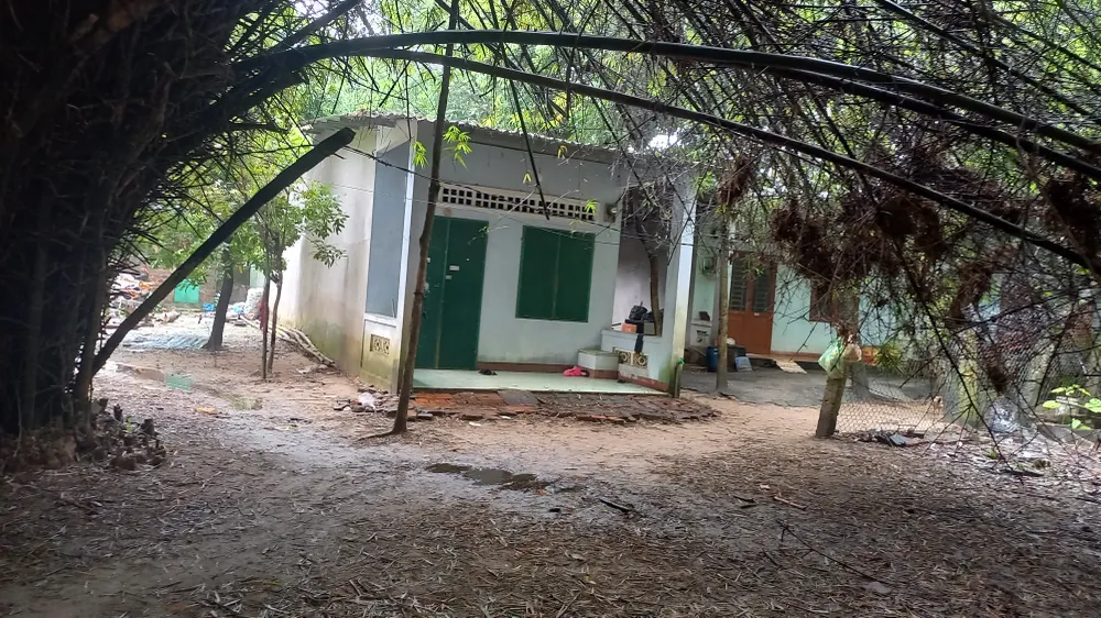 Mặc dù ở giữa thành phố nhưng nhà cửa xuống cấp, cây cối um tùm. Ảnh: NGUYỄN TRANG Mặc dù ở giữa thành phố nhưng nhà cửa xuống cấp, cây cối um tùm. Ảnh: NGUYỄN TRANG