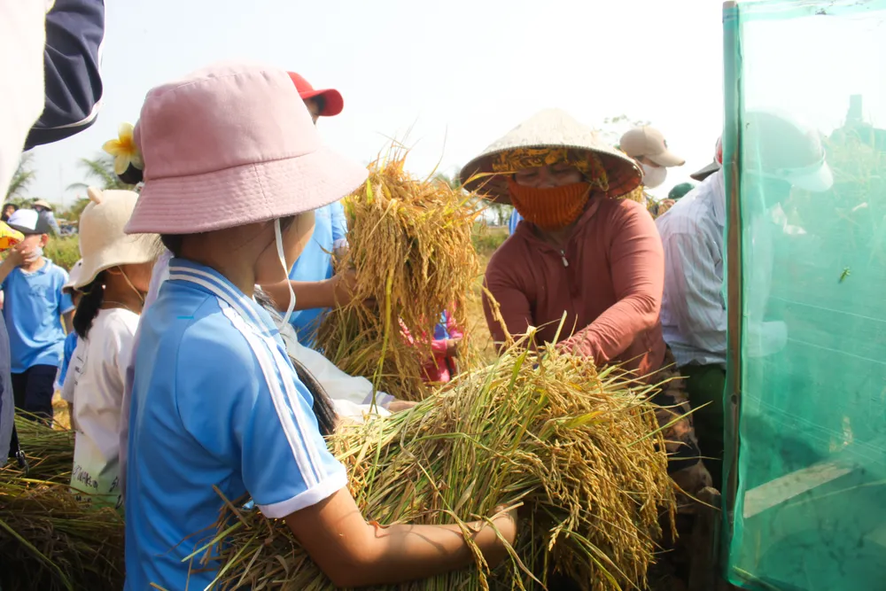 le hoi ngay mua 18 (1 of 1).jpg