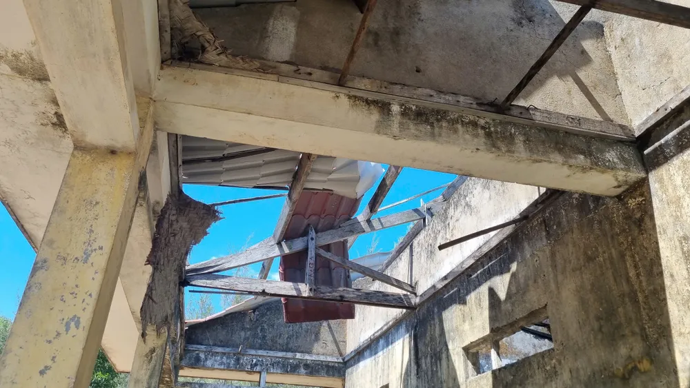 nguyen trang (8).jpg