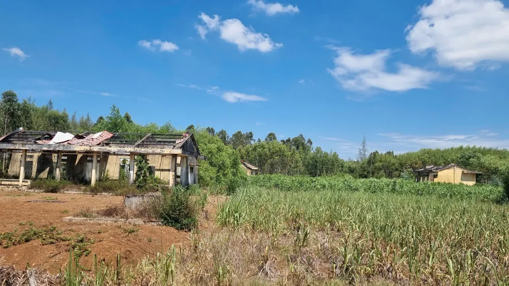 nguyen trang (9).jpg