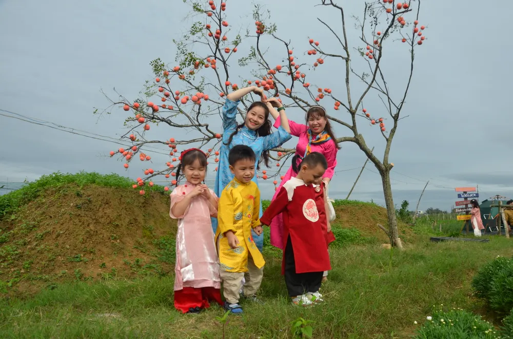 canh dong hoa nguyen trang (3).JPG