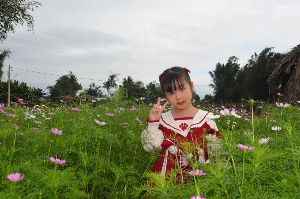 canh dong hoa nguyen trang (6).JPG