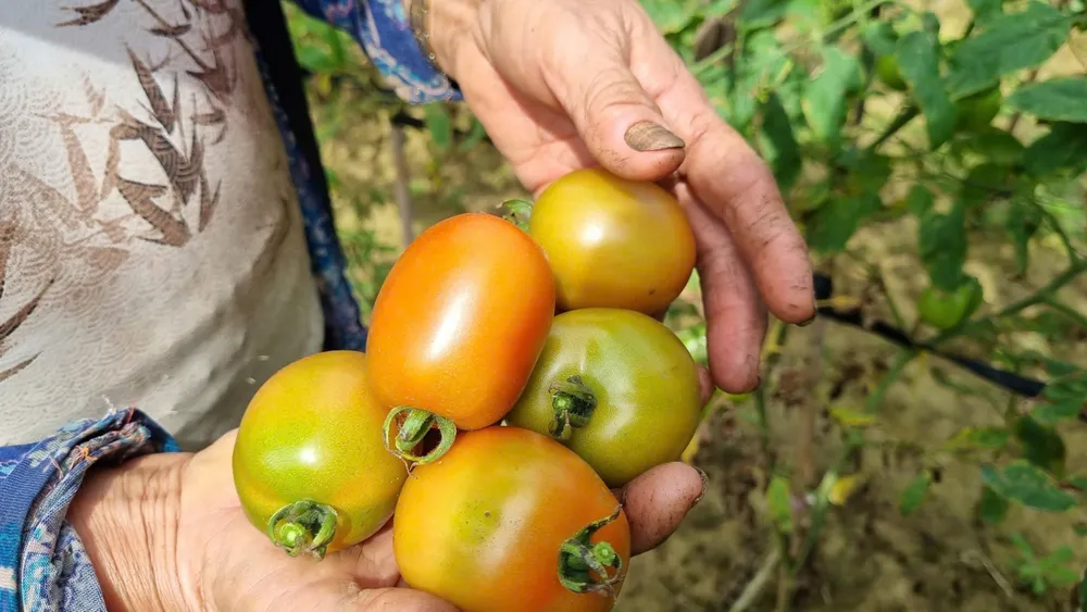 sông trà khúc (5).jpg