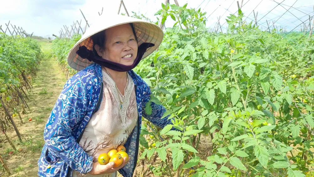 sông trà khúc (6).jpg