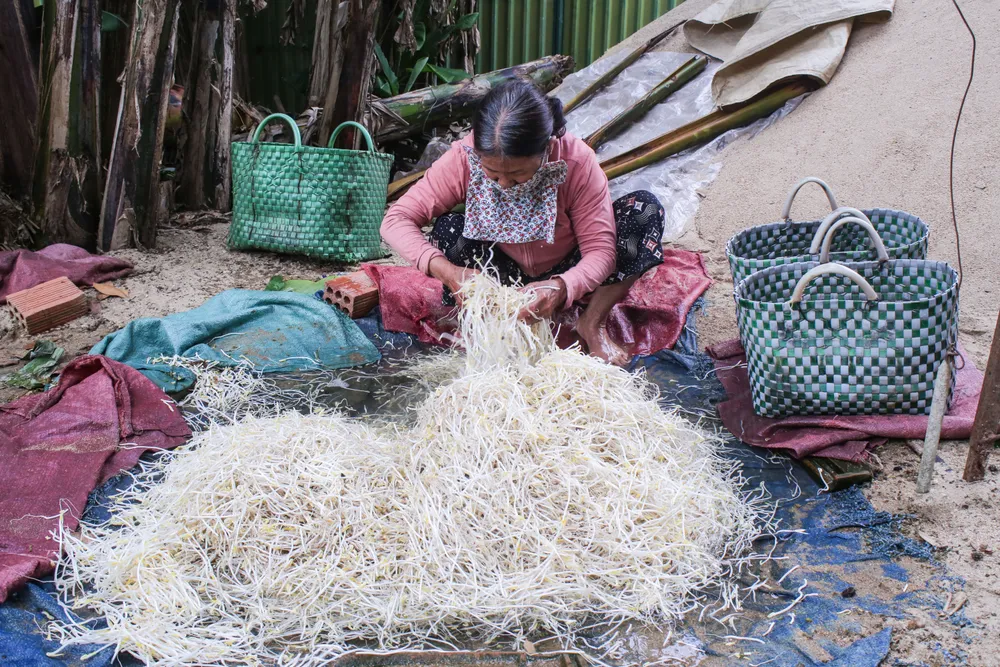 lam dau gia 5 (1 of 1).jpg