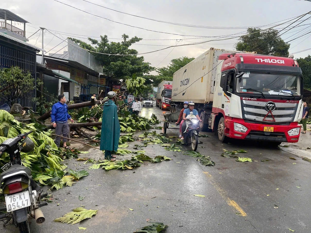 Cây cối ngã đổ chắn ngang tuyến đường trên xã Ba Vì dong loc (2).jpg
