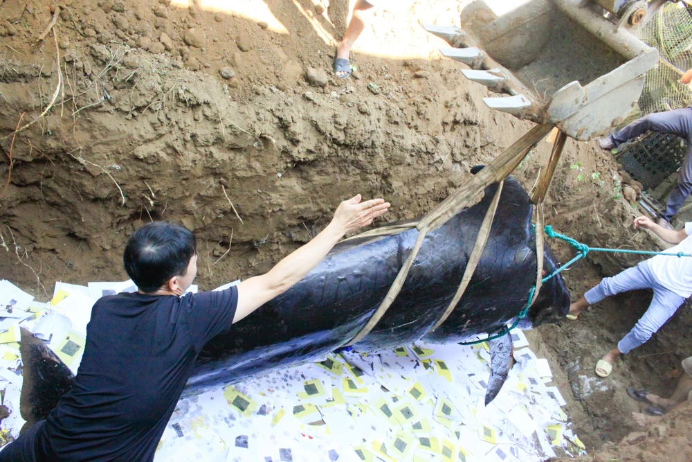 An táng ông Nam Hải. Ảnh: NGUYỄN TRANG cá voi 6 (1 of 1).jpg