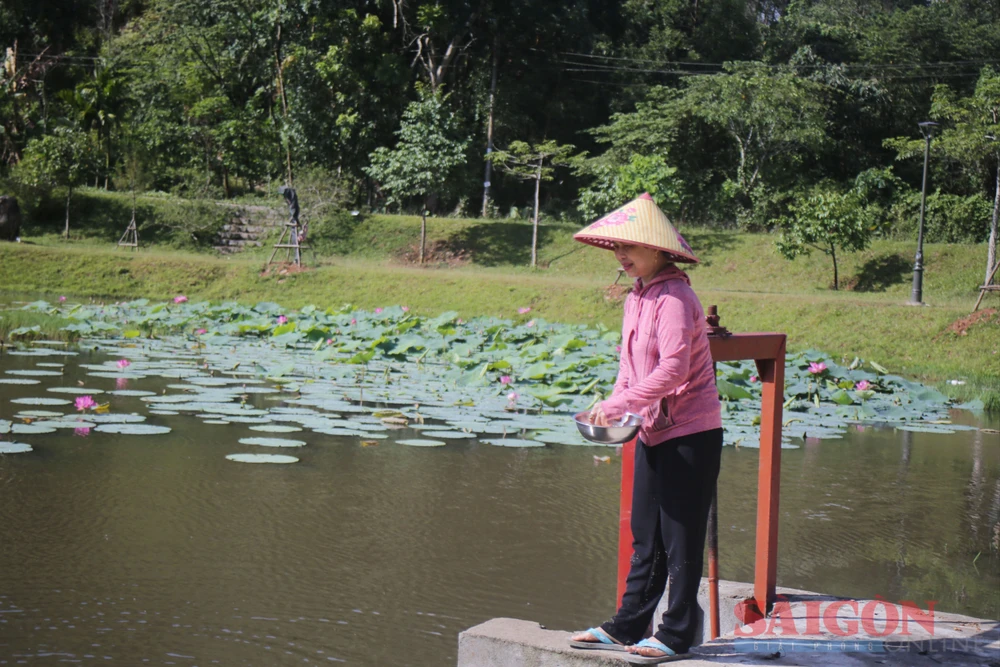 Bà Hằng cho cá ăn trong Ao cá Bác Hồ. Ảnh: NGUYỄN TRANG ao ca bac ho.jpg