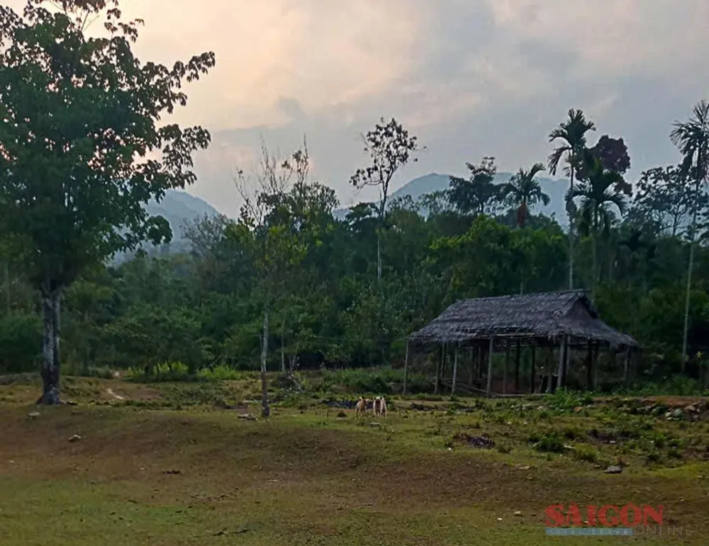 Một góc trong thung lũng giữa rừng già, nơi ở cũ của người dân nóc Ông Đến. Ảnh: NGUYỄN TRANG noc ong den.jpg