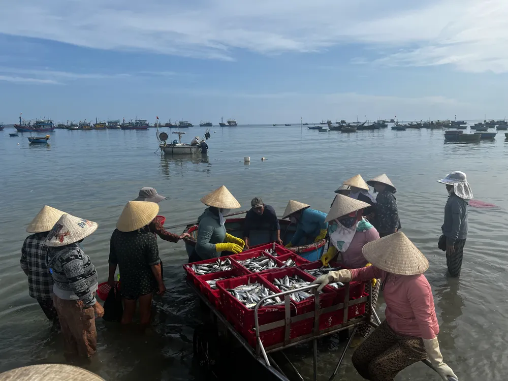 Nhiều tiểu thương có mặt chờ lấy cá. Ảnh: NGUYỄN TRANG IMG_0899.JPG